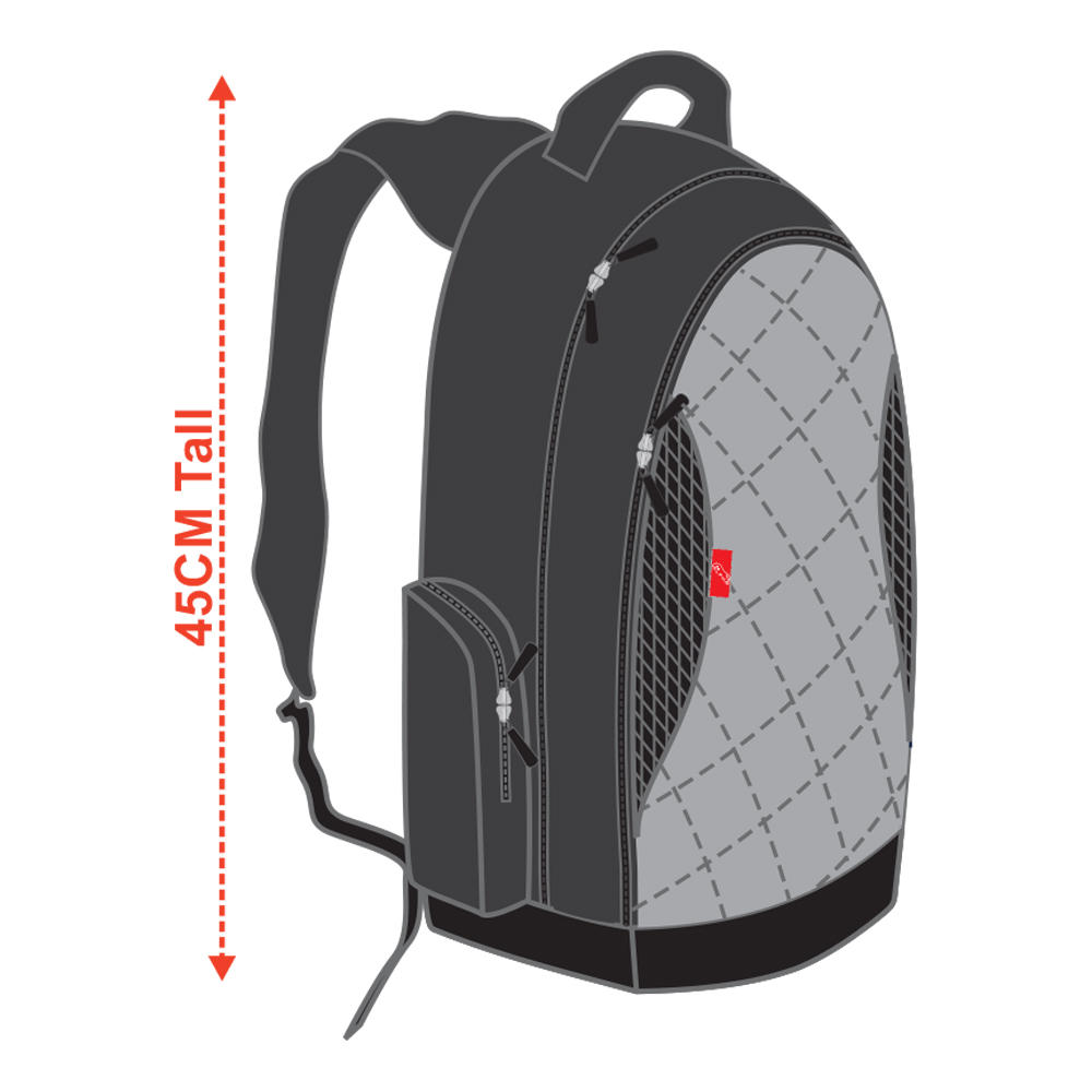 Back Pack (Mcgill)